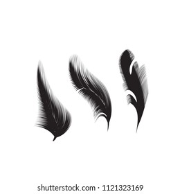 Birds feathers vector icon collection. Simple plume illustration or logo isolated on white background