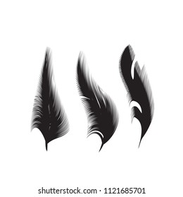 Birds feathers vector icon collection. Simple plume illustration or logo isolated on white background
