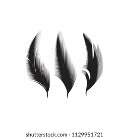 Birds feathers vector icon collection. Simple plume illustration or logo isolated on white background