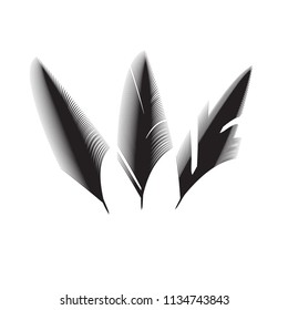 Birds feathers vector icon collection. Simple plume illustration or logo isolated on white background