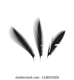 Birds feathers vector icon collection. Simple plume illustration or logo isolated on white background
