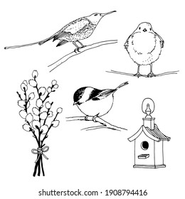Birds, feeder and willow twig set, hand drawn collection isolated on white background, sunbird, robin, willow tit