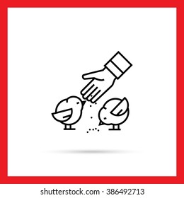 Birds feeding