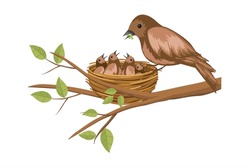 Birds Feeding Worm To Chicks In The Nest