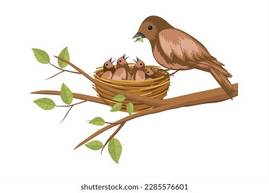 Birds Feeding Worm to Chicks in the Nest