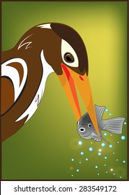birds and fish