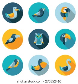 birds flat icons