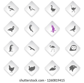 birds flat rhombus web icons for user interface design