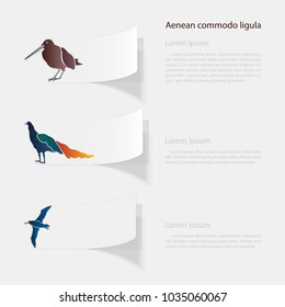 Birds. Flat sticker with shadow on white background. Vector illustration