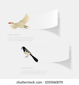 Birds. Flat sticker with shadow on white background. Vector illustration