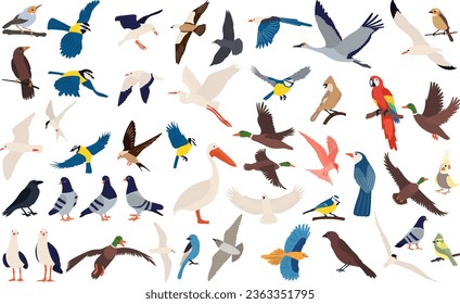 aves de colección de estilo plano sobre fondo blanco, vector