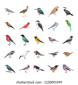 299 Mockingbird vector Images, Stock Photos & Vectors | Shutterstock