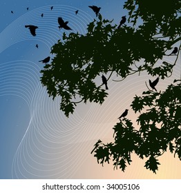 Birds flies around dark branches of a tree against the background of sunset