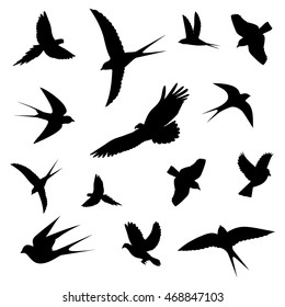 Set Silhouettes Flying Sitting Birds Stock Vector (Royalty Free ...