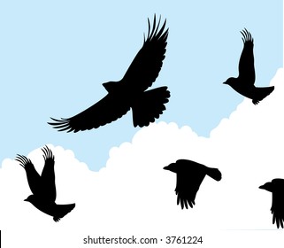 birds in flight one vector