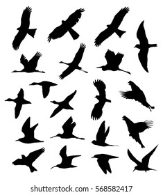 Birds in flight set silhouettes