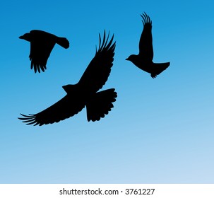 birds in flight two vector