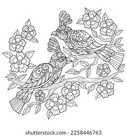 Birds and flower hand drawn for adult coloring book