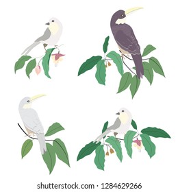 Birds and flowers color hand drawn vector illustrations. For card and invitation.