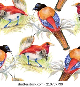 Birds and flowers seamless pattern on white background vector illustration