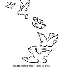 Birds fly in the air sketch vector illustration hand draw