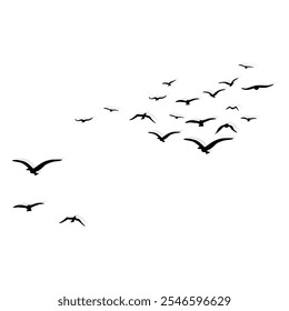  Los pájaros vuelan detrás de la sombra