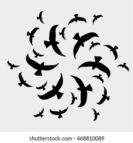 birds fly in circles