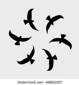 birds fly in circles