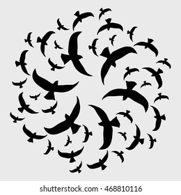 birds fly in circles