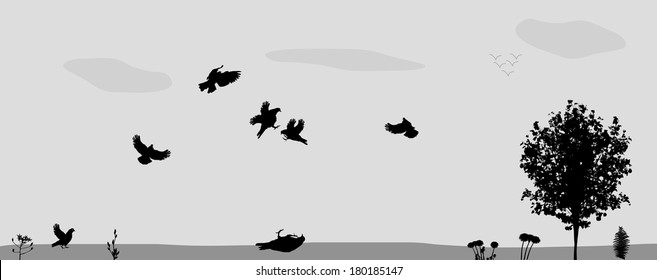 Birds Fly in Nature. Vector Illustration.