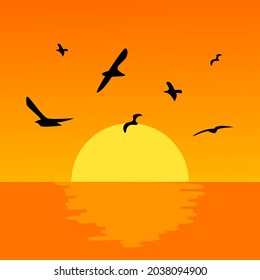 birds fly over the sea at sunset