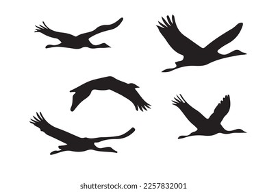 Birds fly in the sky silhouette vector illustration