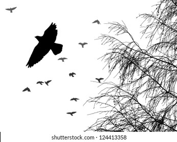 birds fly from tree