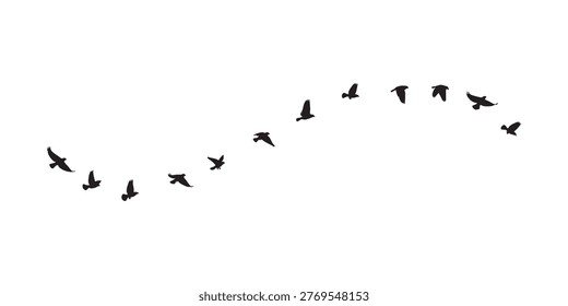 birds flying in the air, flock of flying birds vector illustration.
