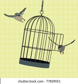 birds flying around jiggling cage