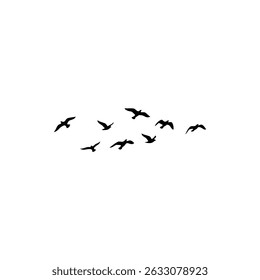Birds Flying in a Circle in the Sky for Peaceful and Natural Landscape