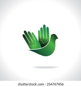 birds flying with creative hands