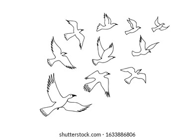 birds are flying, flock. eps10 vector stock illustration. out line