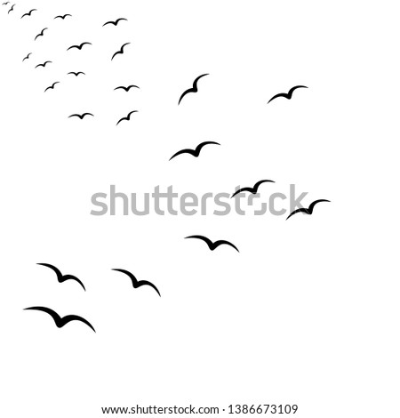 Similar – Image, Stock Photo Pigeons fly and storm clouds gather