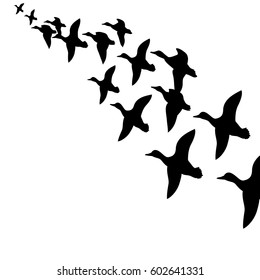 birds flying in flocks,vector illustration