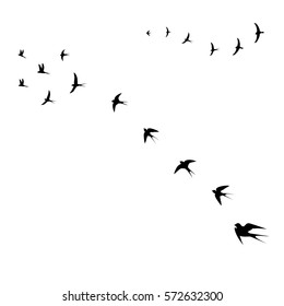 birds flying high,vector, illustratie
