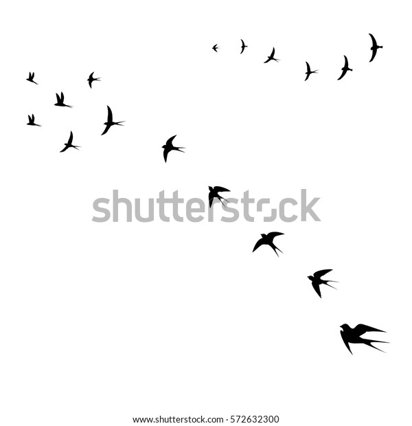 高く飛ぶ鳥 ベクター画像 イラトス のベクター画像素材 ロイヤリティフリー