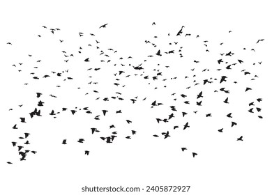 Birds flying in a natural view. Vector birds. White background.