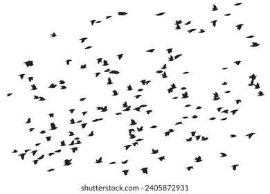 Vögel fliegen in einer natürlichen Sicht. Vektorvögel. Weißer Hintergrund.