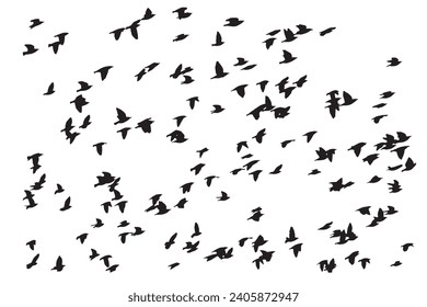 Vögel fliegen in einer natürlichen Sicht. Vektorvögel. Weißer Hintergrund.