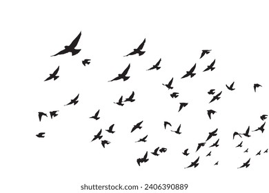 Birds flying in a natural view. Vector images. White background. 