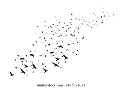 Birds flying in a natural view. Vector images. White background. 