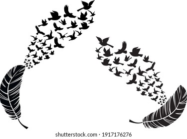 birds flying on a feather