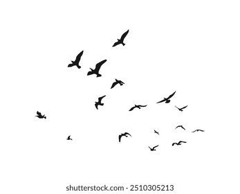 birds flying on sky isolated on white background