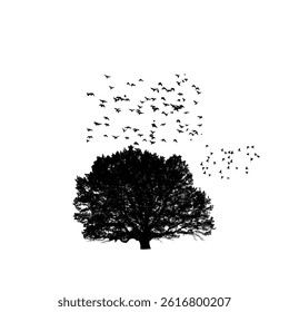 birds flying on the tree isolated on white background. 